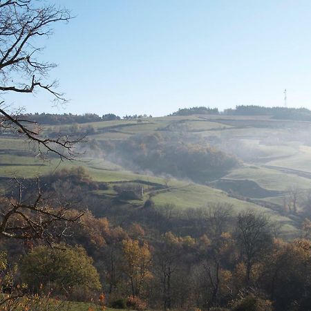 Gites Le Chene & Le Tilleul Saint-Romain-de-Lerps Екстер'єр фото