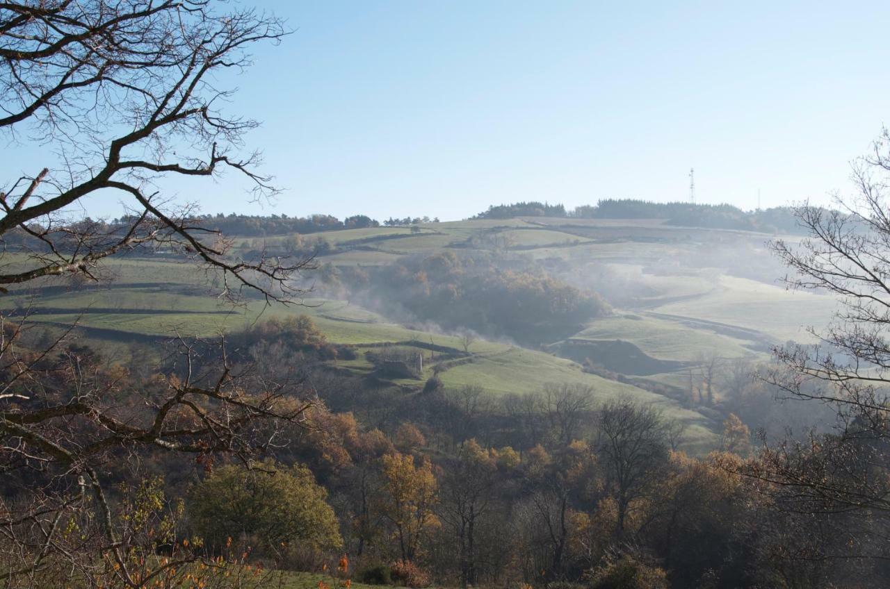 Gites Le Chene & Le Tilleul Saint-Romain-de-Lerps Екстер'єр фото