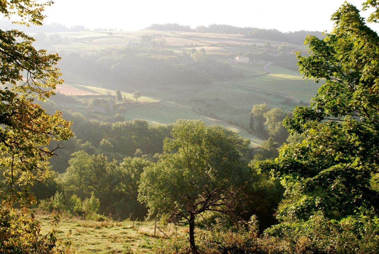 Gites Le Chene & Le Tilleul Saint-Romain-de-Lerps Номер фото